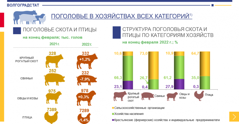Поголовье скота и птицы в хозяйствах всех категорий Волгоградской области